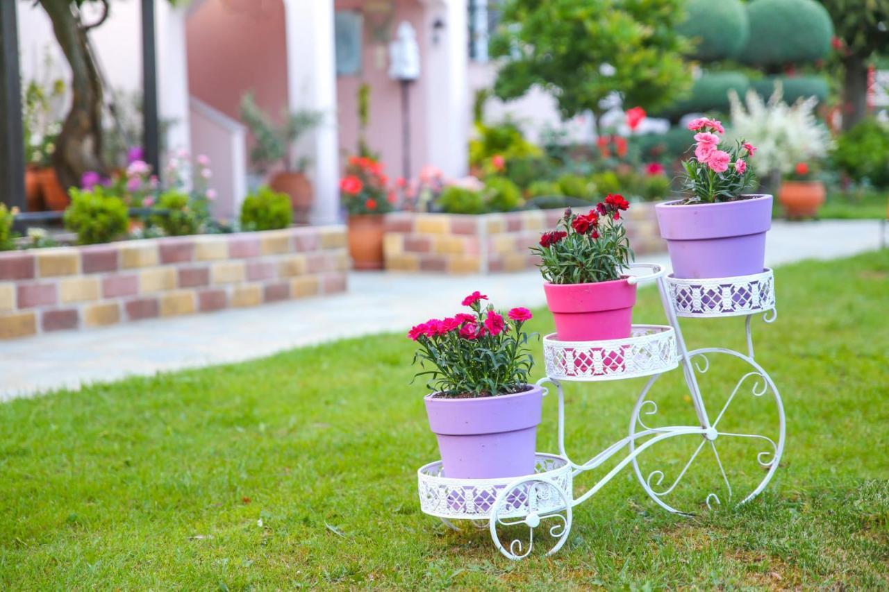 Edem Garden Apartment สกาลา โปเตมิอัส ภายนอก รูปภาพ
